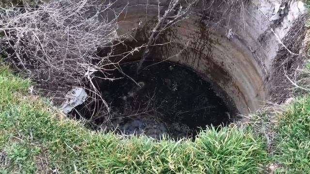 ГУЛЯЮ в ПОЛЕ//У МЕНЯ К ВАМ ВОПРОС