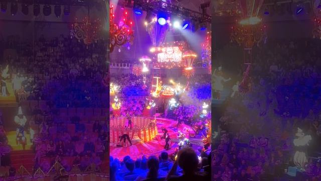 Семейный поход в цирк в первый раз 🎪 смотреть онлайн