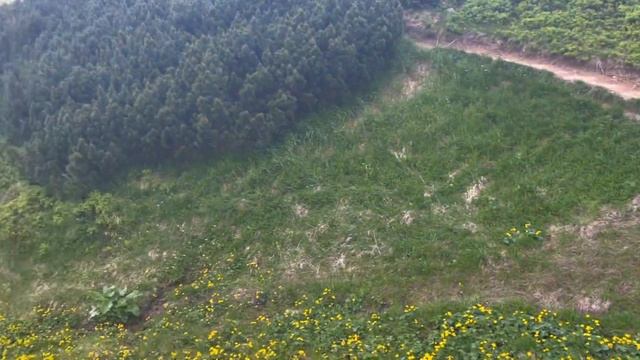 Похід Чорногорським хребтом. Гора Бребенескул, Менчул, Дземброня, Піп Іван. Частина 3. Фінал смотреть онлайн