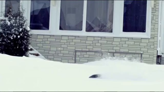 Летающий Кот