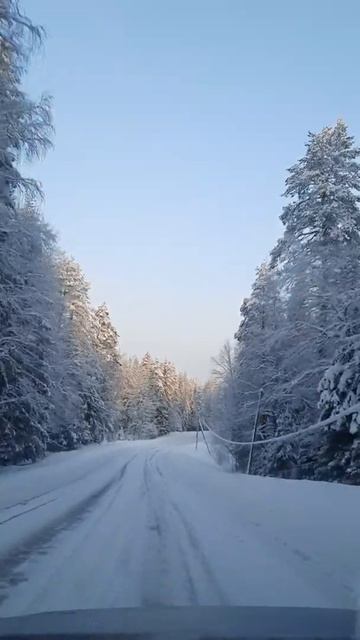 Нереальная Карелия #семьяиалиса #семья #семейныйканал смотреть онлайн