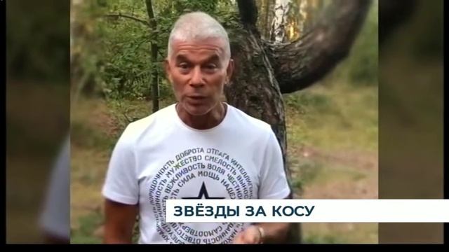 Газманов призвал «уберечь Танцующий лес от горячей любви туристов» смотреть онлайн