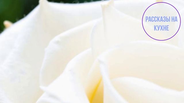 😂 Муж, чуть не получил по лицу носками, когда я увидела, что он сделал из нашей квартиры... смотреть онлайн