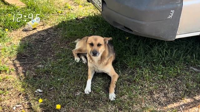 ТРИП С МУЖЕМ В АМГУ. ХАРАМА ХАЙАТА. САКРАЛЬНАЯ ГОРА В ЯКУТИИ. мой первый влог.