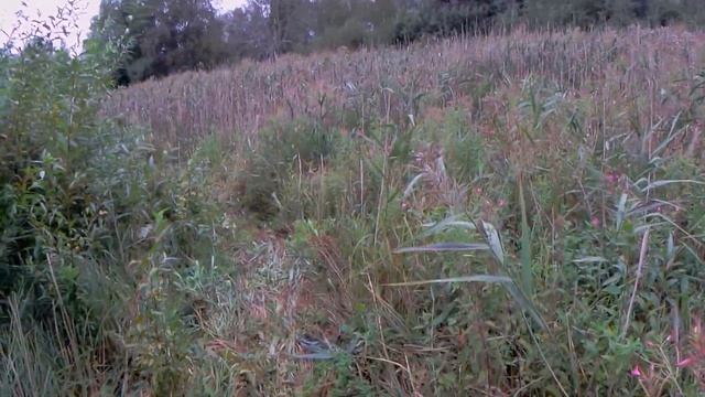 Ilmatsalu Kärevere birdwatcing path Илматсалу Кяревере тропа для наблюдения за птицами и заповедни смотреть онлайн