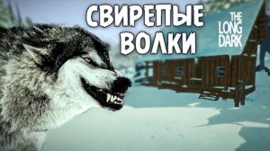 Свирепые Волки - The Long Dark #2 2