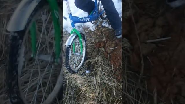 Приколы века