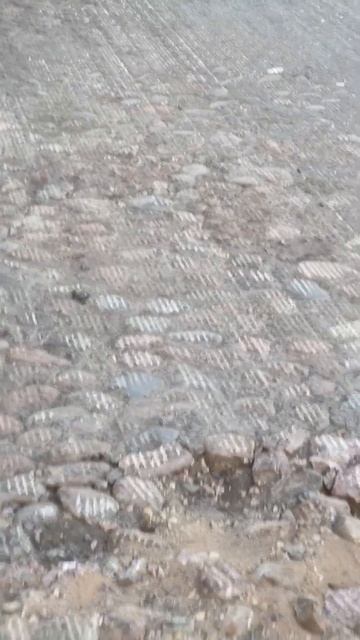 Санкт-Петербург. Каменная мостовая, открывшаяся при р? смотреть онлайн