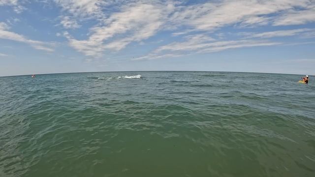 Дельфины на Чёрном море в Витязево 2024. смотреть онлайн