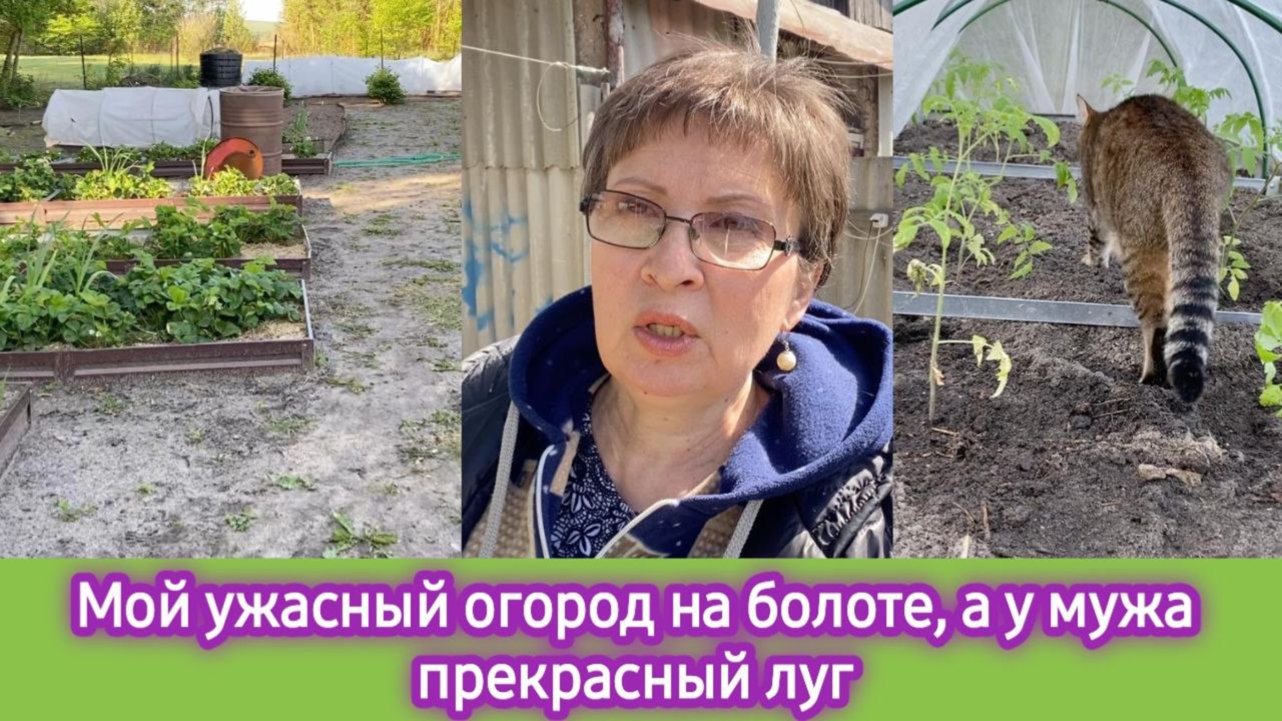 Мой ужасный огород, наши 40 соток, муж косит луг уже 4 дня смотреть онлайн