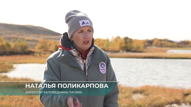 Рогатые нарушители границы смотреть онлайн