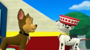 Щенячий патруль | Райдер вызывает Щенячий патруль на Пожарную Вышку! | Nick Jr. Cyrillic