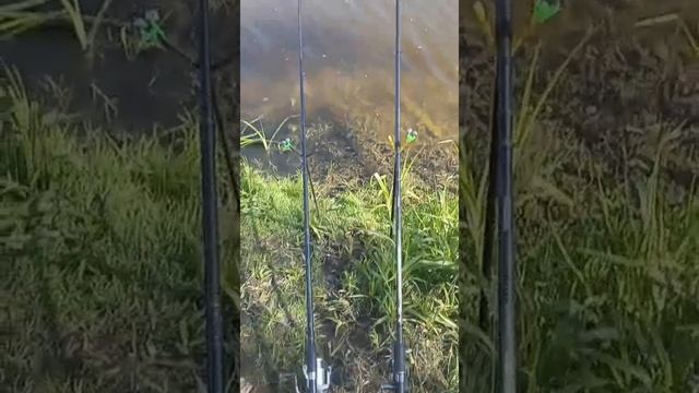 РЫБАЛКА 2025 СОСТОЯЛАСЬ смотреть онлайн