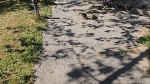 Горькая правда , моя семья. Наталья Курбанова.