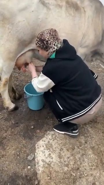 Динара Залумханова в горах