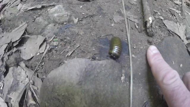 30 июля 2022 г. смотреть онлайн