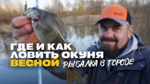 Где Искать и Как Поймать Окуня на Микроджиг Рыбалка в Городе