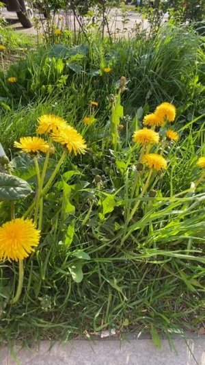 Весенний вайб…