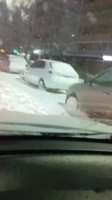 Воронеж засыпало снегом!