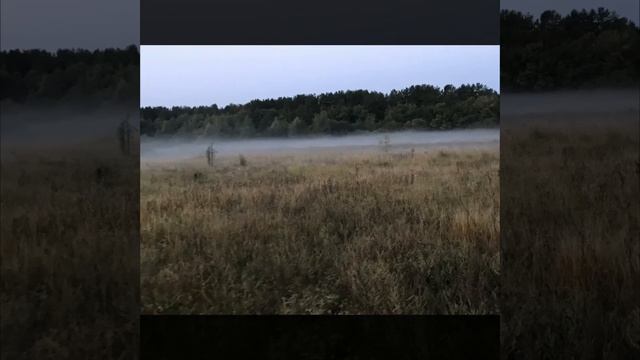 Воспоминания ПСР 2018 год