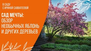 Яркие акценты в саду: обзор редких  яблонь, вишен и кленов