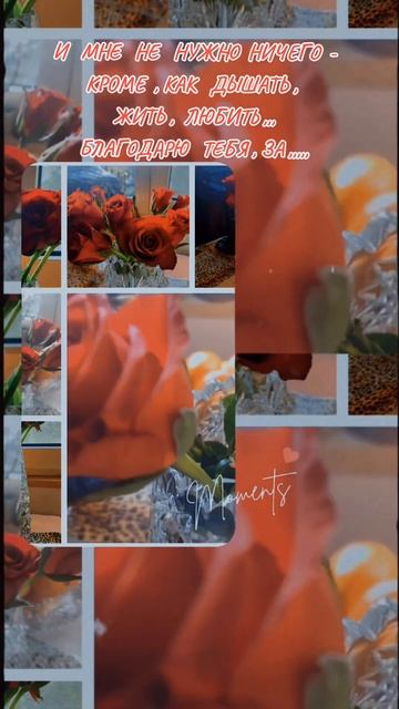 И МНЕ НЕ НУЖНО НИЧЕГО,КРОМЕ,КАК ЖИТЬ,ДЫШАТЬ И ЛЮБИТЬ,,, смотреть онлайн