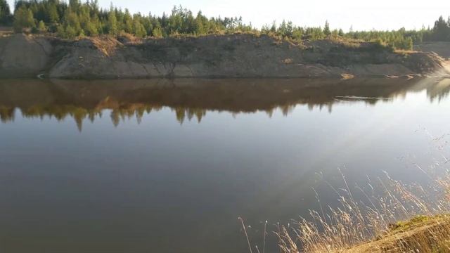 Приехал в Подгорное за малиной