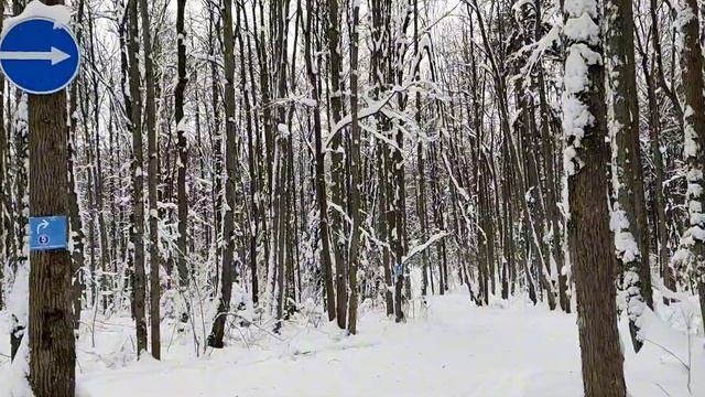 Лыжня Прокуророва смотреть онлайн