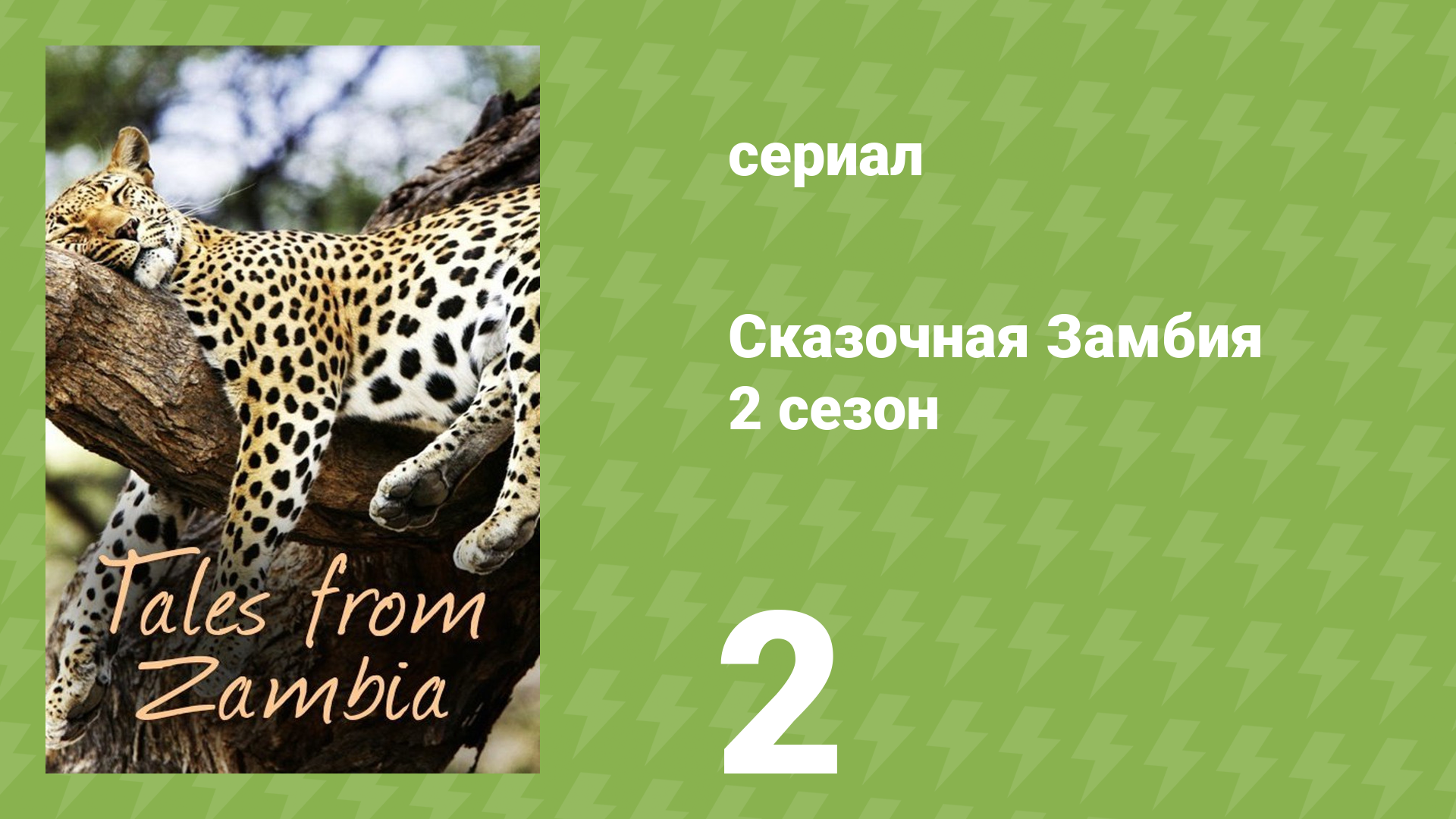 Сказочная Замбия 2 сезон 2 серия «Вместе лучше» (документальный сериал, 2017)