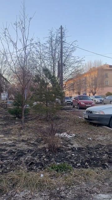 Когда растаял снег