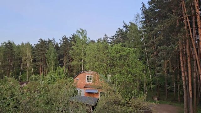 УНЯТЬ ТОСКУ ПО ЖИВЫМ И МЕРТВЫМ