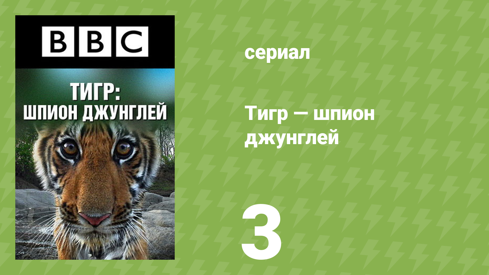 Тигр — шпион джунглей 3 серия «Полтора года» (документальный сериал, 2008) смотреть онлайн