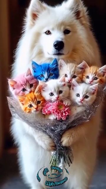 Доброе утро. ВидеоОткрытки смотреть онлайн