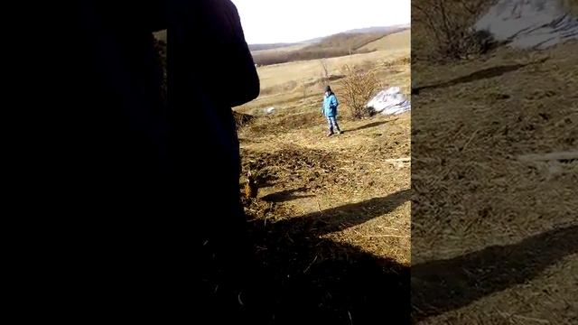 Дети и коровы
