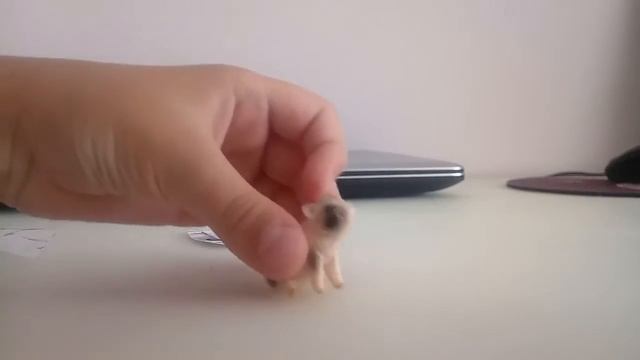 распаковка фигурок животных аленя волнистых попугаев и поросёнка