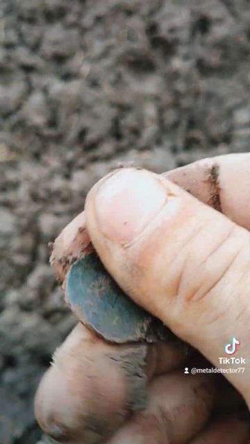 #ukraine #коп #металошукач #metaldetecting #квазар #пошукзметалош? смотреть онлайн