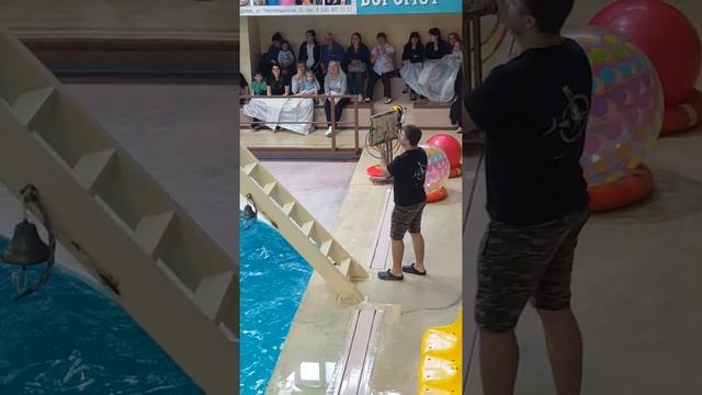 Геленджик в мае. Дельфинарий смотреть онлайн