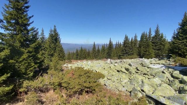 10 января 2023 г. смотреть онлайн