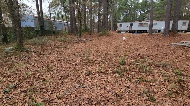 Жизнь в Речном Трейлере Ответы на Ваши Вопросы смотреть онлайн