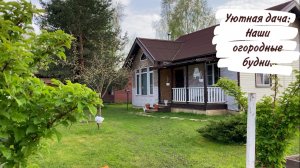 Уютная дача: Наши огородные будни.