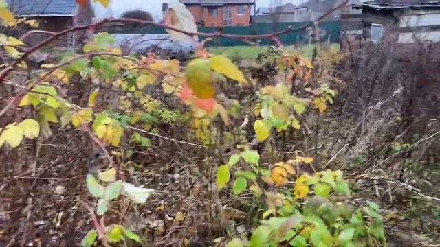 Отказ в постановке на кадастровый учёт. Какие причины? смотреть онлайн