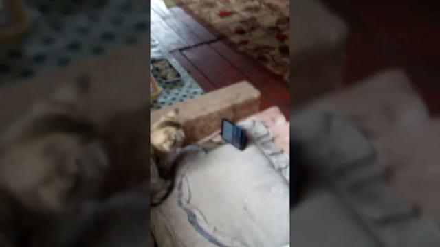 31 июля 2021 г. смотреть онлайн