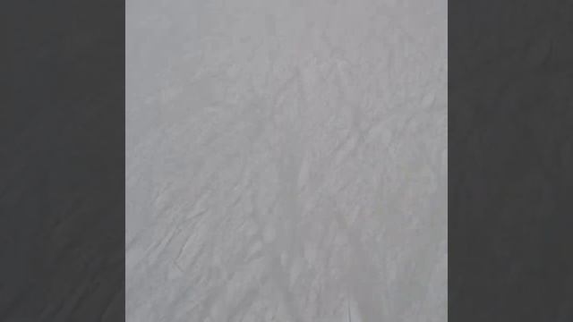 Елка в Воронеже. Пришла на #каток смотреть онлайн