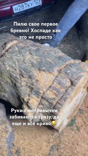 Пилю первое бревно, специально прикупил простенькую э смотреть онлайн