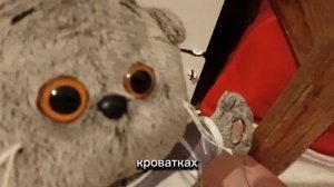 КАК БАСИКИ ЛОЖАТСЯ СПАТЬ? / 💙Basik. TV💙