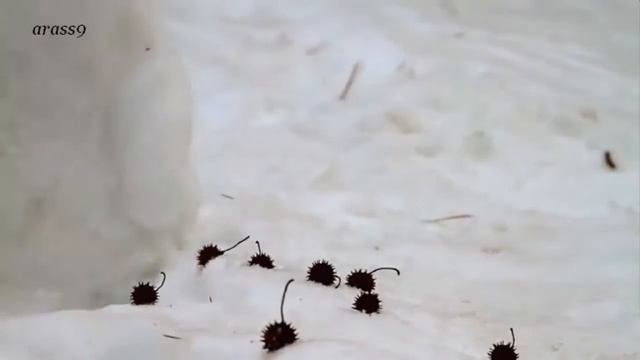 Послание в бутылке смотреть онлайн