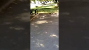 Щучинск ул.Морозова