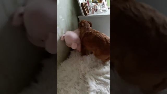 Новая Фрося-Big Frosya.))))) смотреть онлайн