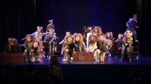 Музыкальный спектакль « Кошки не похожи на людей?»