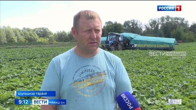 Вести Чăваш Ен. Выпуск от 28.08.2023